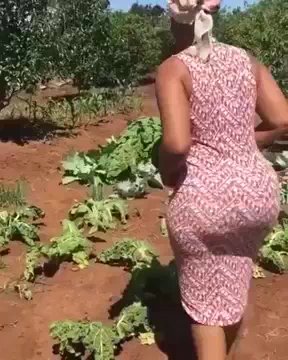 Nice body & thick curves on this pretoria slut